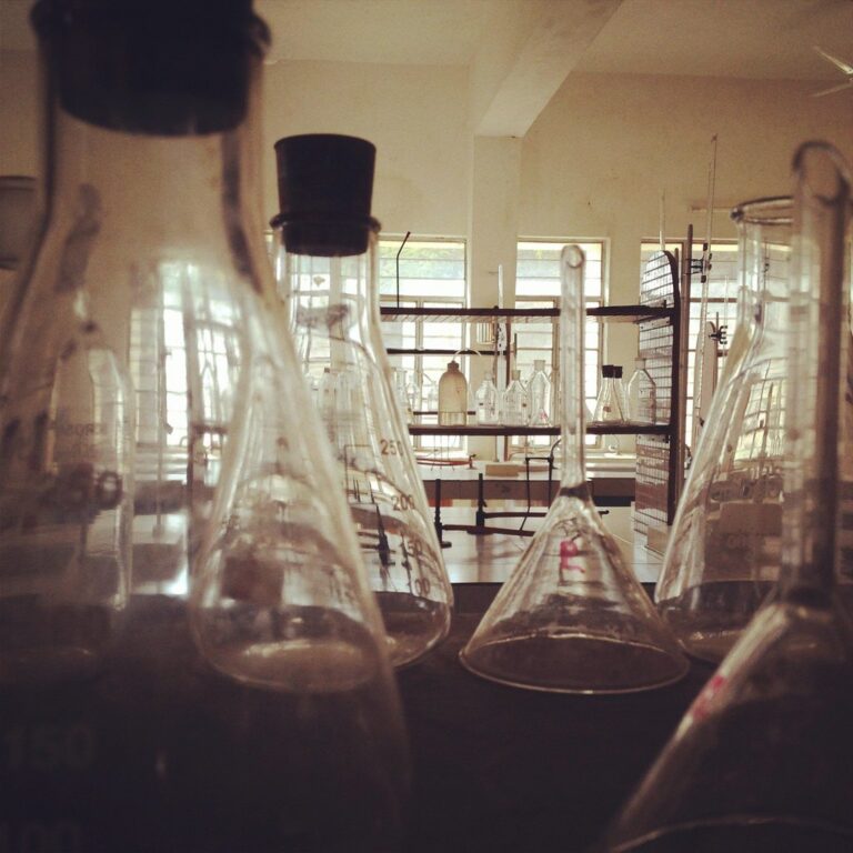 Fioles Erlenmeyer en laboratoire de chimie