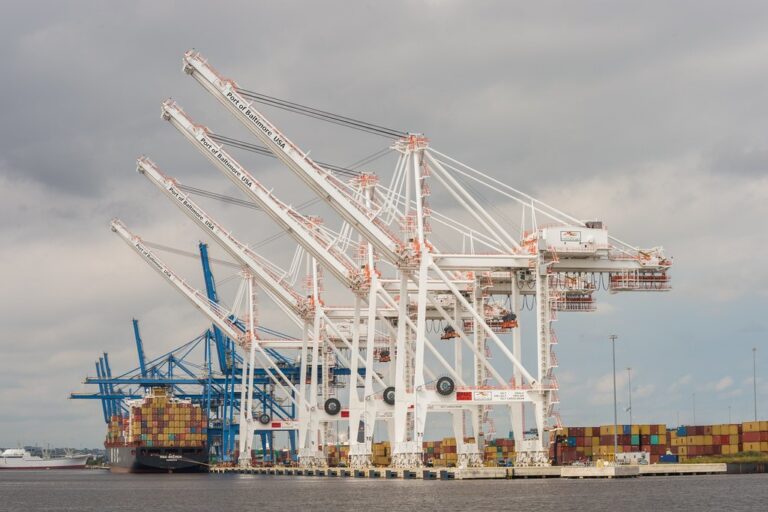 Grues portuaires et porte-conteneurs illustrant les flux de la mondialisation