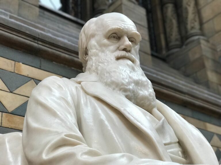 Statue de Charles Darwin, symbole de la theorie de l'evolution
