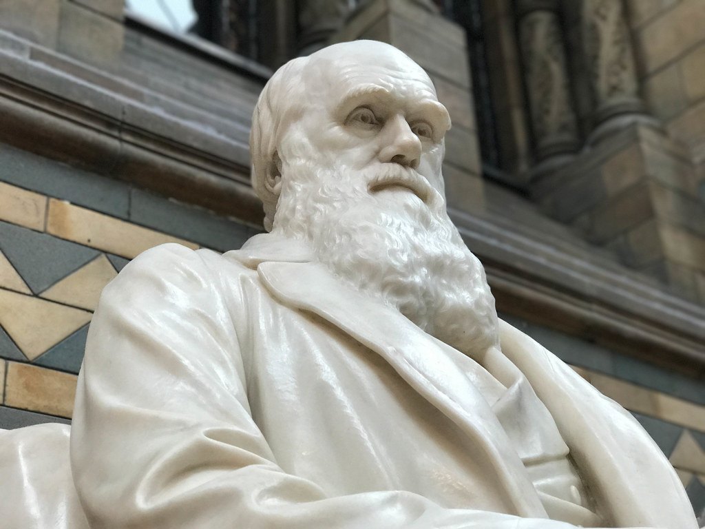 Statue de Charles Darwin, symbole de la theorie de l'evolution